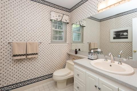 49 Mohawk Trl, Somerville, NJ 08876 photo 19