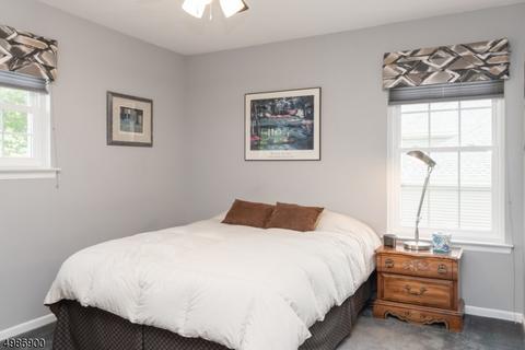 49 Mohawk Trl, Somerville, NJ 08876 photo 16