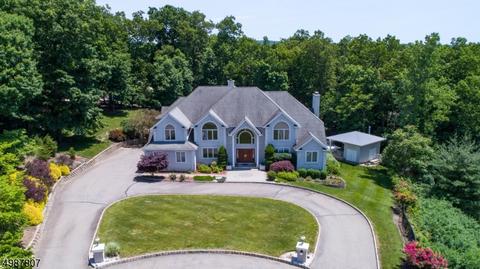17 Highview Ct, Wayne, NJ 07470 photo 1