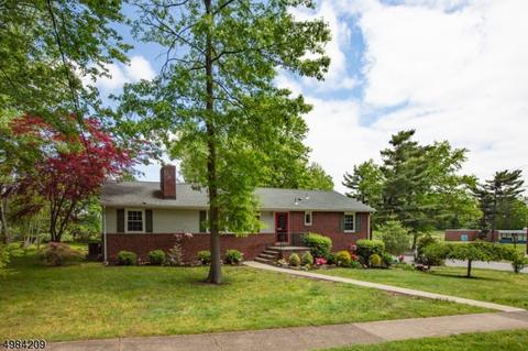 4 Squire Ln, Wayne, NJ 07470 photo 1