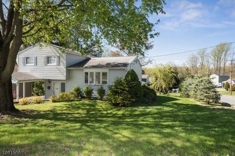 175 Highview Ter, Dover, NJ 07801 photo 3