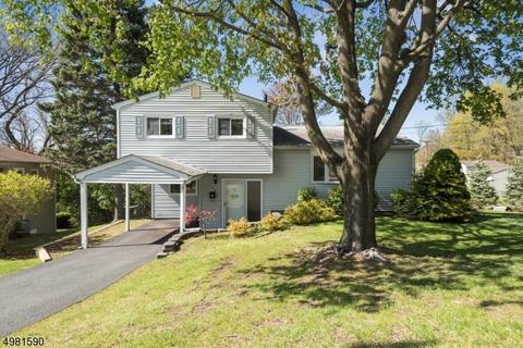 175 Highview Ter, Dover, NJ 07801 photo 1
