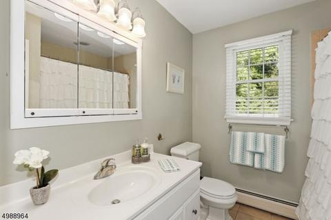 37 Maple Ave, Mendham, NJ 07945 photo 16