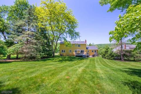 35 Phoenix Dr, Mendham, NJ 07945 photo 24