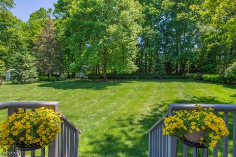 35 Phoenix Dr, Mendham, NJ 07945 photo 23