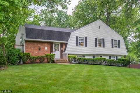 11 Eldorado Dr, Wayne, NJ 07470 photo 25