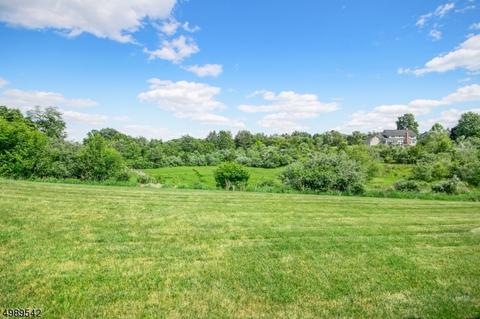 17 Ballantine Rd, Mendham, NJ 07945 photo 22