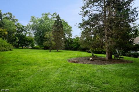 4 Maple Dr, Warren, NJ 07059 photo 18