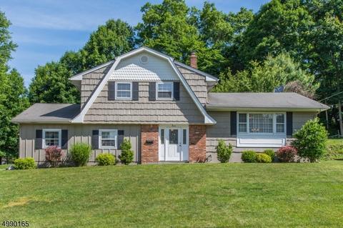 7 Peslin Ct, Wayne, NJ 07470 photo 24