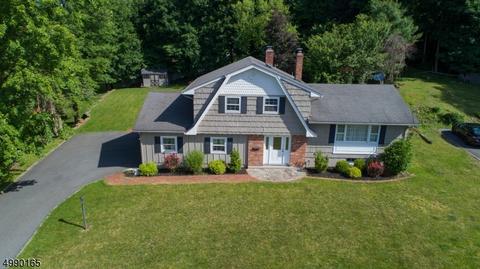 7 Peslin Ct, Wayne, NJ 07470 photo 1