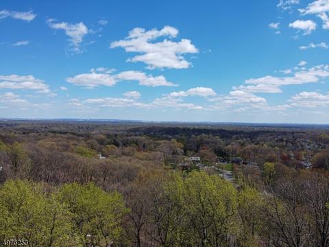 1548 Deer Path, Mountainside, NJ 07092 photo 24