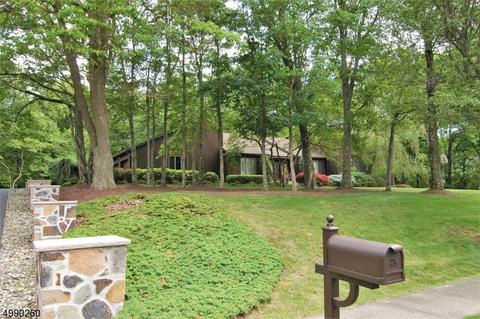 3 Peter Dr, Hackettstown, NJ 07840 photo 2