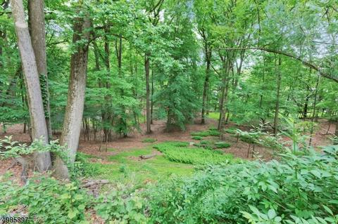 1537 Deer Path, Mountainside, NJ 07092 photo 17