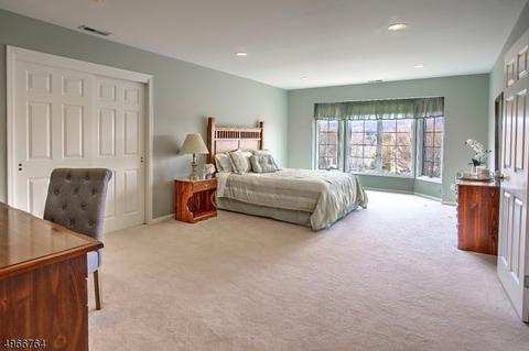 9 Cooper Rd, Mendham, NJ 07945 photo 20