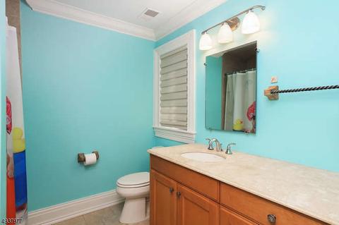 5 Burnett Rd, Mendham, NJ 07945 photo 20