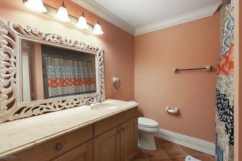 5 Burnett Rd, Mendham, NJ 07945 photo 18