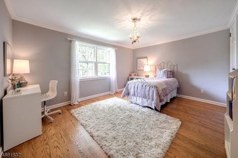 23 Silver Lake Dr, Summit, NJ 07901 photo 15