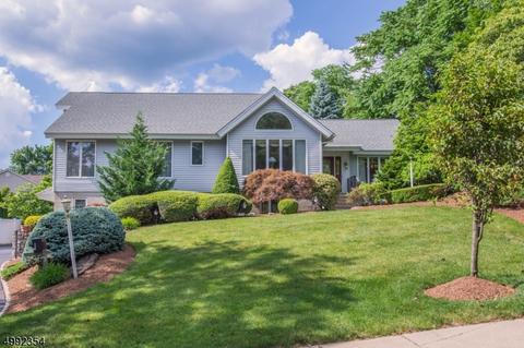 5 Little Pl, Wayne, NJ 07470 photo 25