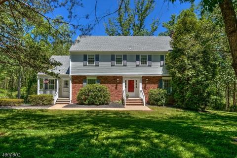 2 Cedar Pl, Gladstone, NJ 07934 photo 1