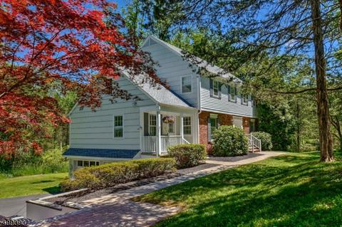2 Cedar Pl, Gladstone, NJ 07934 photo 2