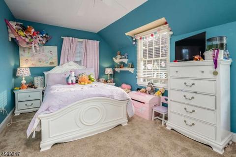29 Reading Rd, Flemington, NJ 08822 photo 18