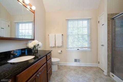 29 Reading Rd, Flemington, NJ 08822 photo 17