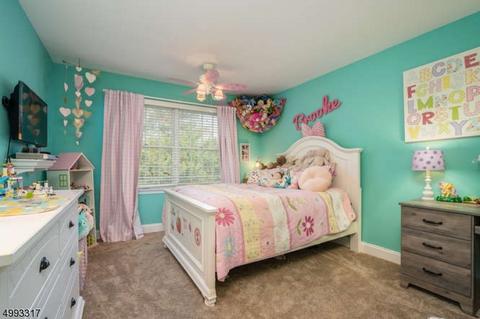 29 Reading Rd, Flemington, NJ 08822 photo 20