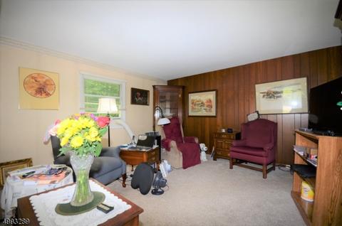 10 Starglo Dr, Hampton, NJ 08827 photo 11