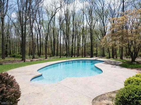 1 N Gate Rd, Mendham, NJ 07945 photo 24