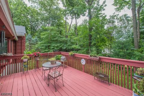 11 Rigby Ct, Wayne, NJ 07470 photo 19