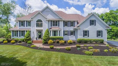 49 Combs Hollow Rd, Mendham, NJ 07945 photo 1