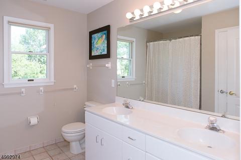 49 Combs Hollow Rd, Mendham, NJ 07945 photo 20