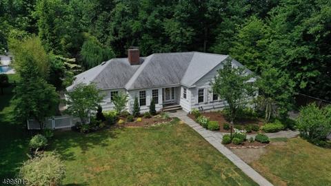 46 Slayton Dr, Millburn Twp., NJ 07078 photo 24