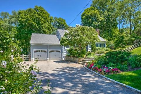 16 Cherry Ln, Mendham, NJ 07945 photo 25