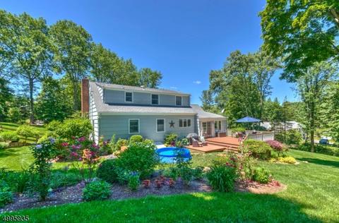 16 Cherry Ln, Mendham, NJ 07945 photo 20
