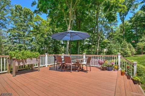 16 Cherry Ln, Mendham, NJ 07945 photo 23