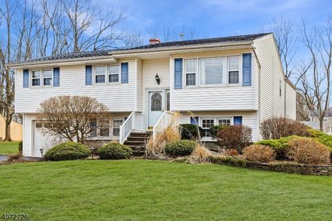 4 Mt View Rd, Succasunna, NJ 07876 photo 1