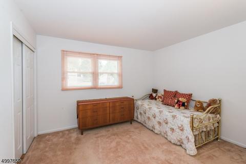 10 Witkowski Way, Wayne, NJ 07470 photo 14