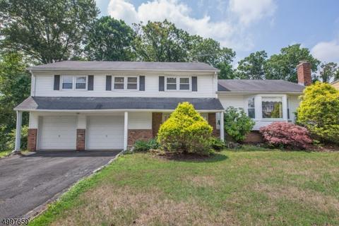 10 Witkowski Way, Wayne, NJ 07470 photo 1