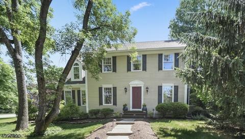 16 Devonshire Ln, Mendham, NJ 07945 photo 1
