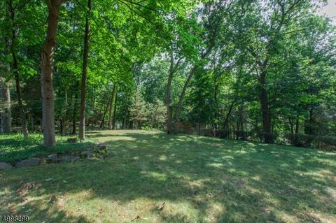 18 Geneva Ct, Wayne, NJ 07470 photo 23