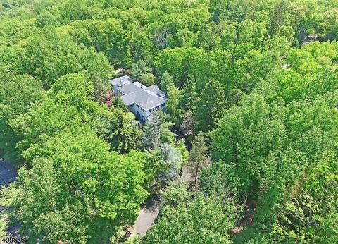 6 Deer Path, Warren, NJ 07059 photo 6