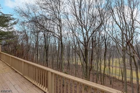 15 Mockingbird Rd, Hackettstown, NJ 07840 photo 13