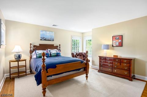 36 Colt Rd, Summit, NJ 07901 photo 16