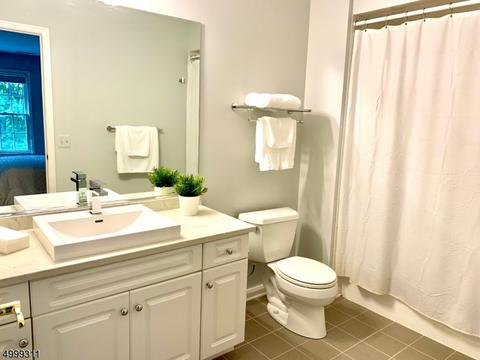 4 Byram Ct, Mendham, NJ 07945 photo 14