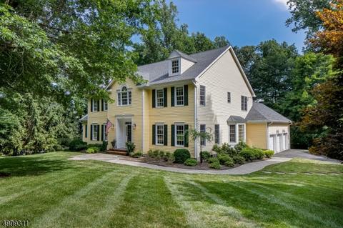 4 Byram Ct, Mendham, NJ 07945 photo 1