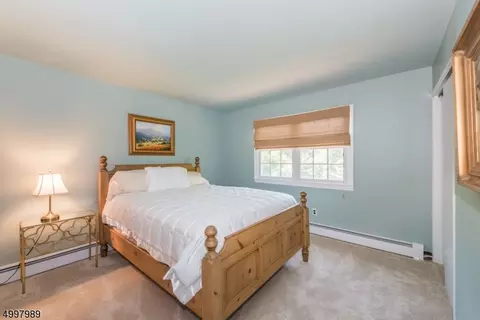 34 Phoenix Dr, Mendham, NJ 07945 photo 15