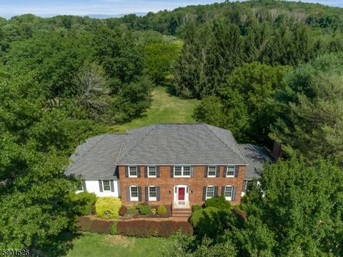 24 Nancy Ter, Hackettstown, NJ 07840 photo 1