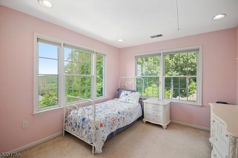5 Overhill Rd, Wayne, NJ 07470 photo 18