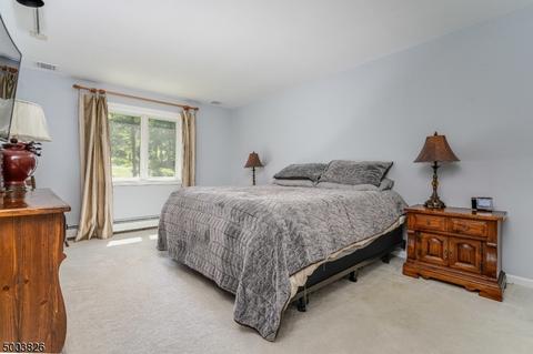 33 Bountiful Dr, Hackettstown, NJ 07840 photo 14
